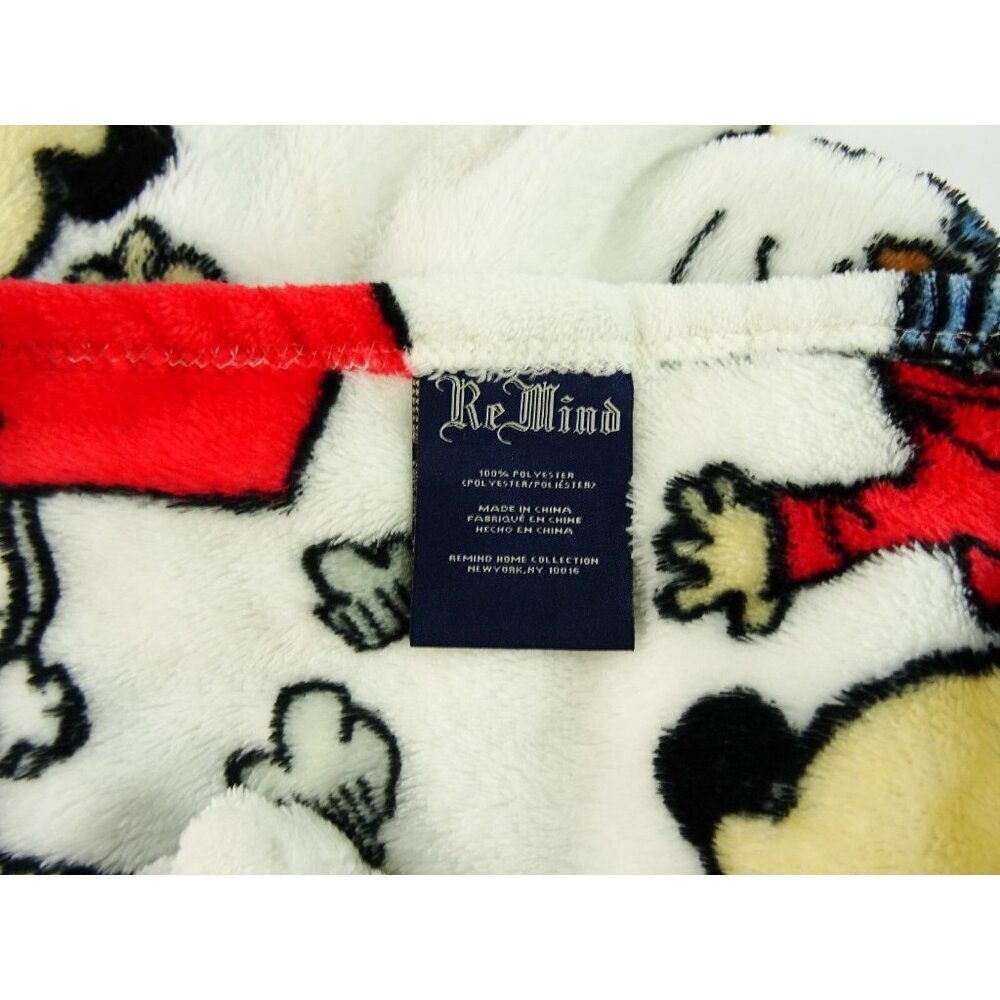 Peanuts Fleece Blanket Remind 40x25 Charlie Brown Lucy - Picture 4 of 7